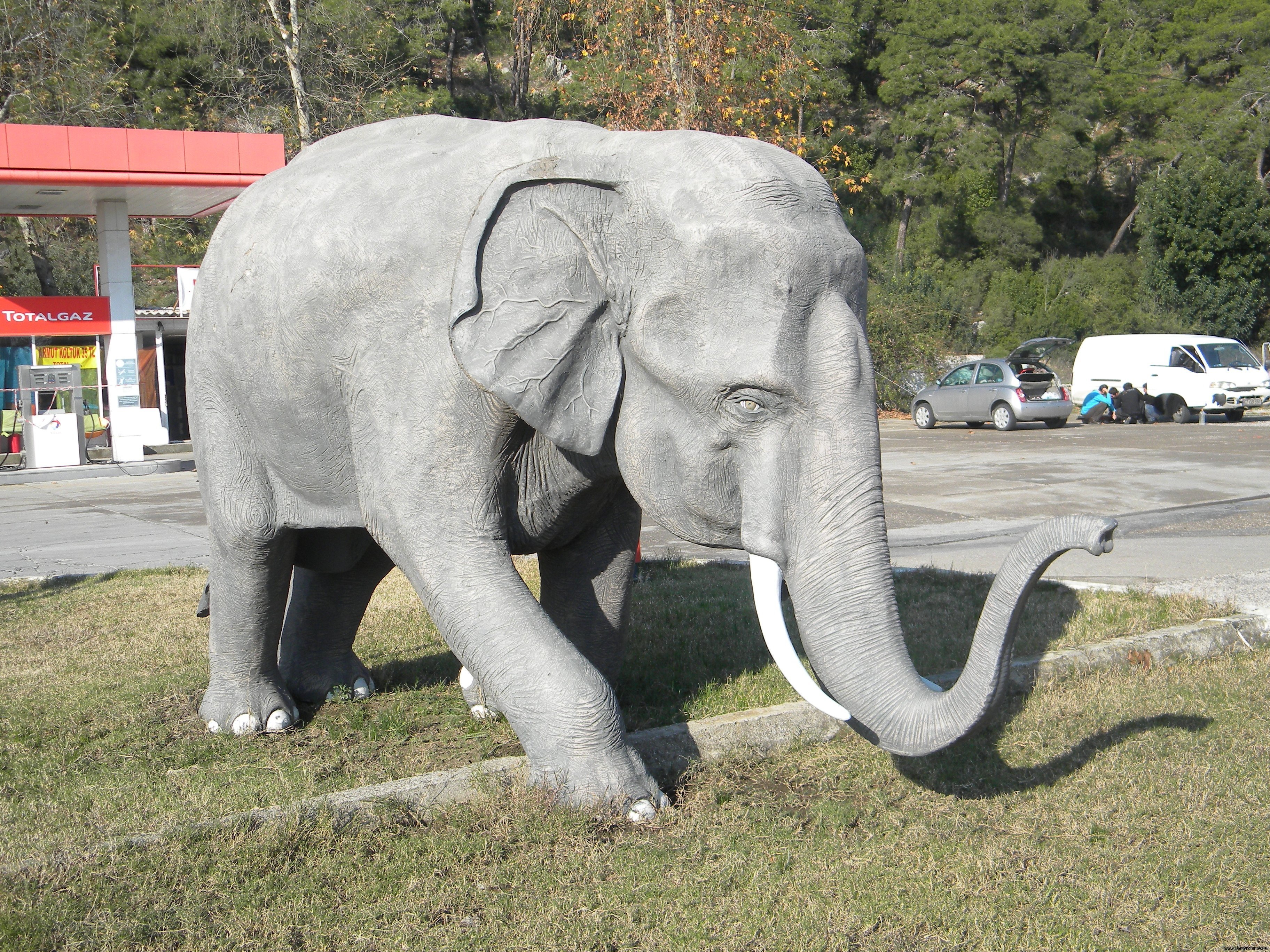 Турецкий слон на авторском сайте