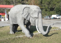 Турецкий слон